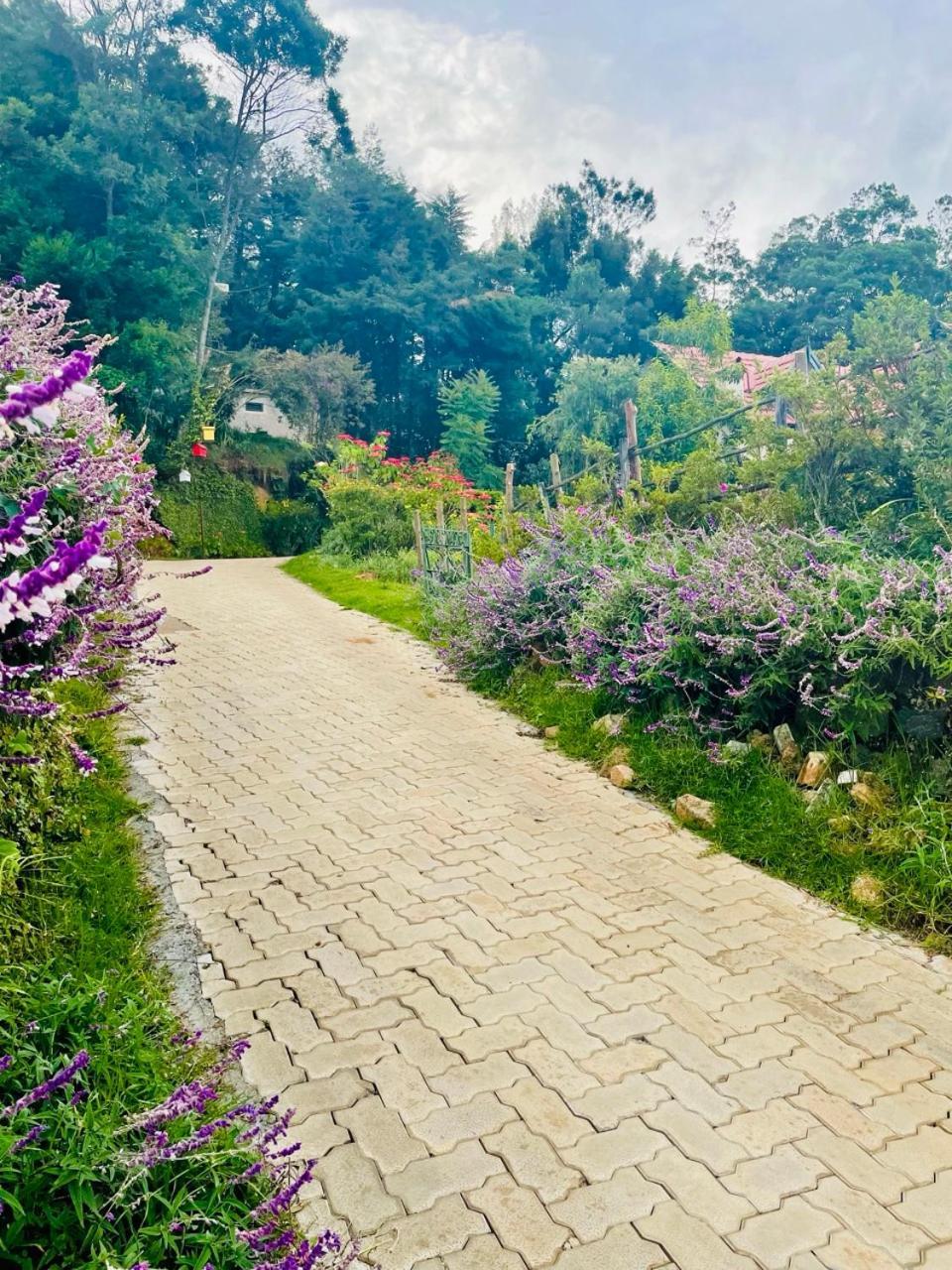 Bed and Breakfast Stumpfields Ooty Exterior foto
